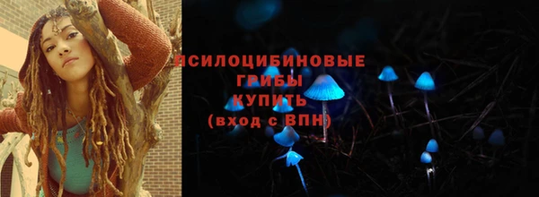 apvp Аркадак