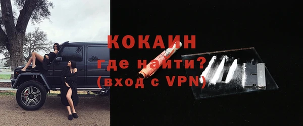 сатива Арсеньев