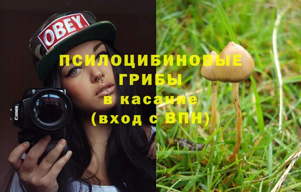 сатива Арсеньев
