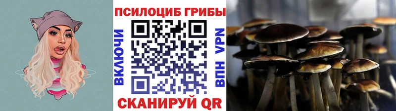 Псилоцибиновые грибы мицелий MEGA зеркало Баймак дарнет шоп